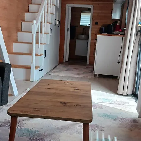 Kaktues Tiny House Couette-café